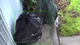Un hoț din California s-a camuflat în sac de gunoi. Păgubitul s-a amuzat copios când a văzut cine i-a furat pachetul